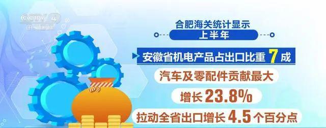 bsports必一体育上半年多地区外贸数据创历史新高纺织服装积极转型(图1)